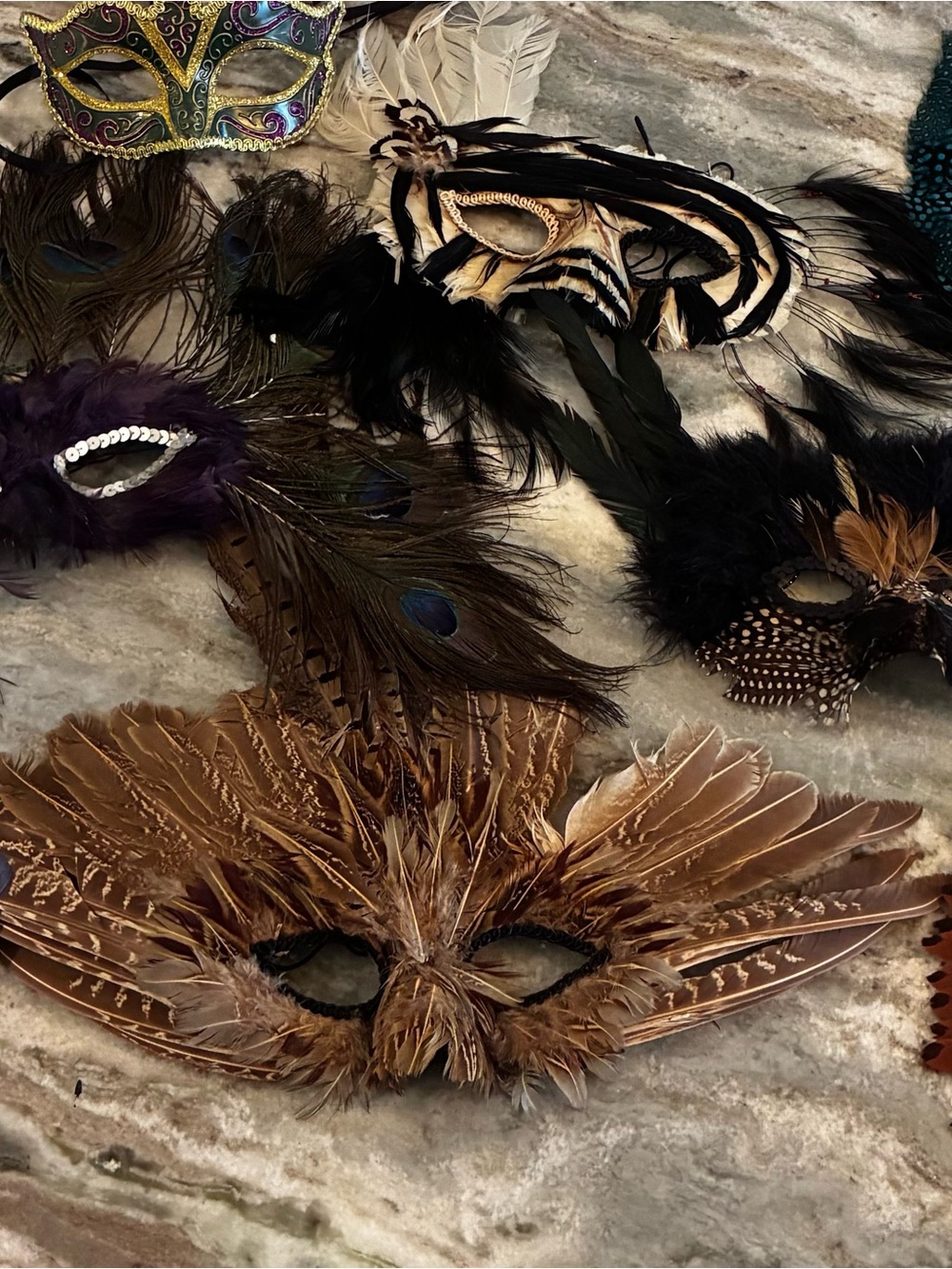 8 Vintage Mardi Gras Masquerade Masks Dramatic Feather Designs